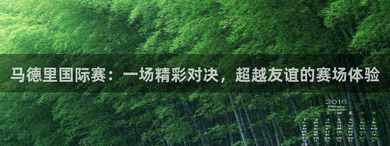 马德里国际赛：一场精彩对决，超越友谊的赛场体验