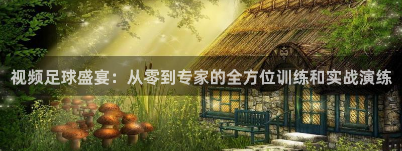  视频足球盛宴：从零到专家的全方位训练和实战演练