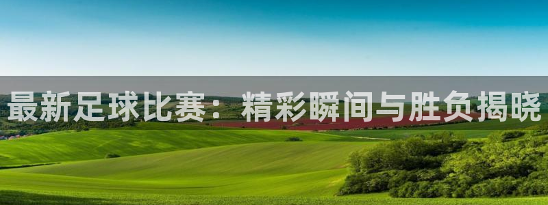 最新足球比赛：精彩瞬间与胜负揭晓