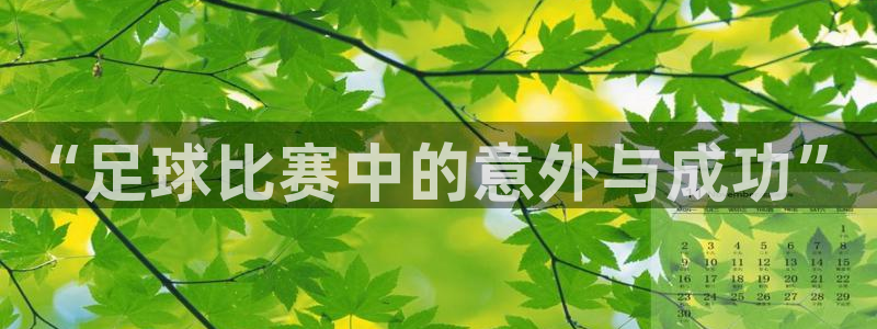  “足球比赛中的意外与成功”