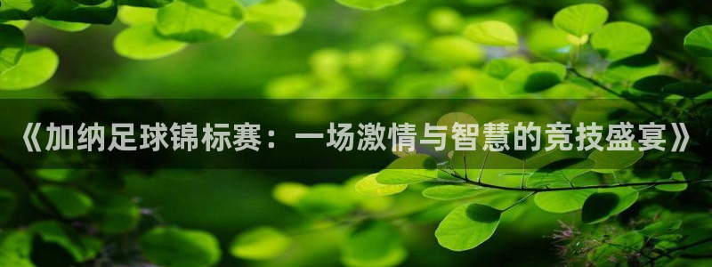 《加纳足球锦标赛：一场激情与智慧的竞技盛宴》