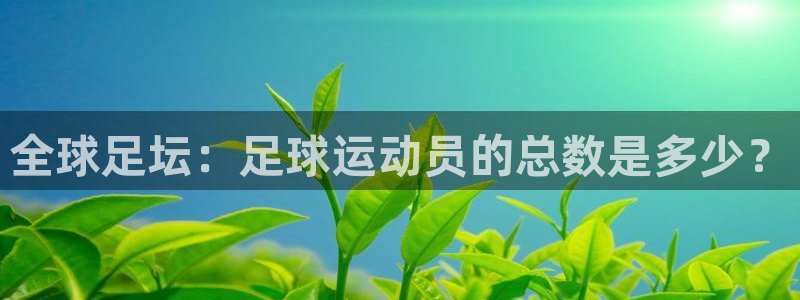 全球足坛：足球运动员的总数是多少？
