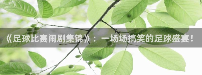  《足球比赛闹剧集锦》：一场场搞笑的足球盛宴！