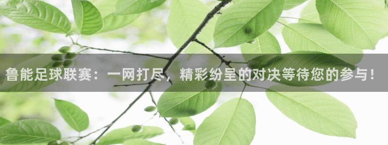 鲁能足球联赛：一网打尽，精彩纷呈的对决等待您的参与！