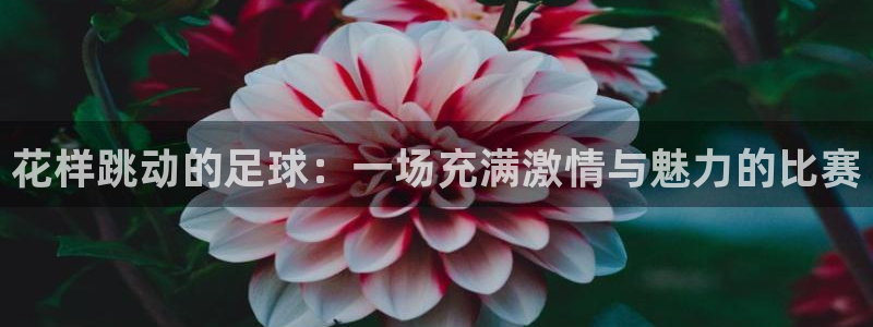  花样跳动的足球：一场充满激情与魅力的比赛