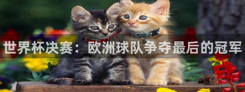 世界杯决赛：欧洲球队争夺最后的冠军