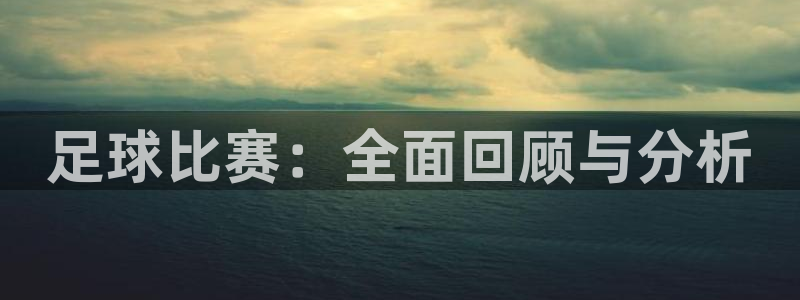 足球比赛：全面回顾与分析