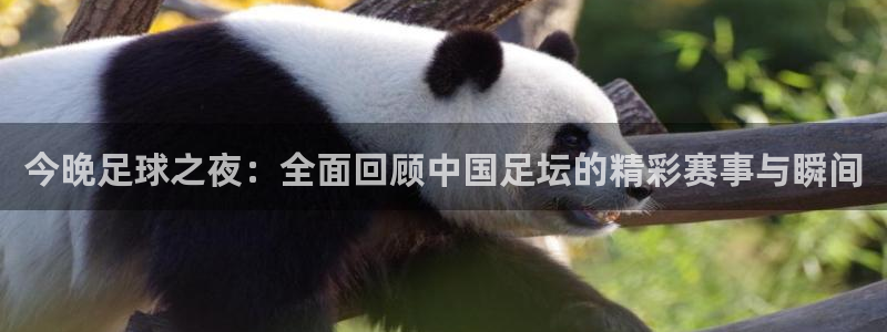  今晚足球之夜：全面回顾中国足坛的精彩赛事与瞬间