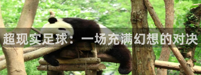  超现实足球：一场充满幻想的对决