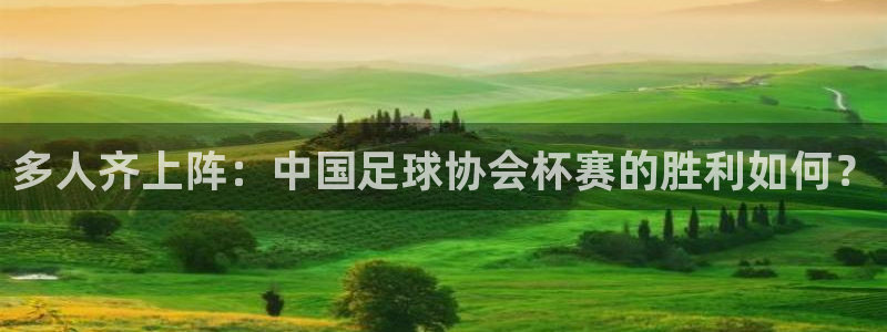 多人齐上阵：中国足球协会杯赛的胜利如何？