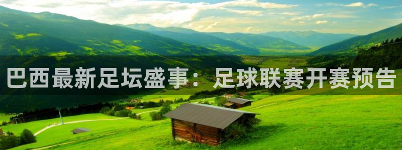  巴西最新足坛盛事：足球联赛开赛预告