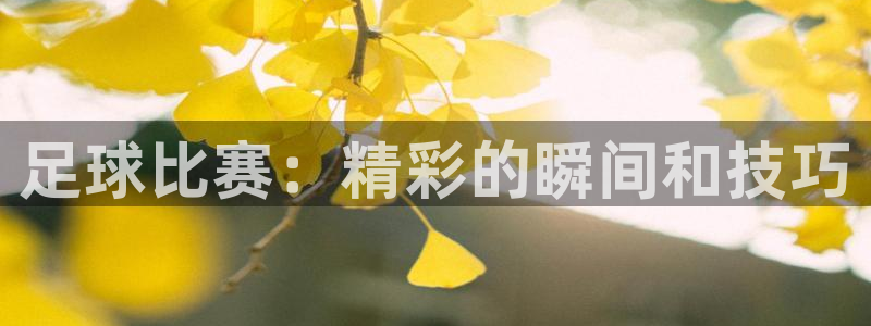  足球比赛：精彩的瞬间和技巧