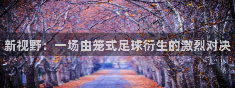 新视野：一场由笼式足球衍生的激烈对决