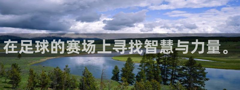  在足球的赛场上寻找智慧与力量。