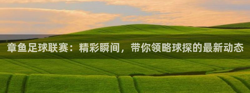 章鱼足球联赛：精彩瞬间，带你领略球探