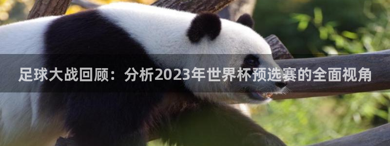 足球大战回顾：分析2023年世界杯预