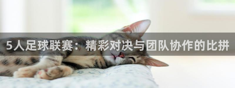 5人足球联赛：精彩对决与团队协作的比