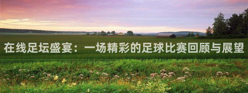 在线足坛盛宴：一场精彩的足球比赛回顾