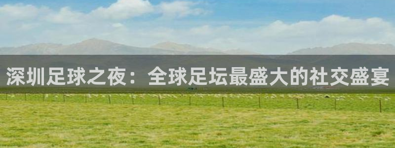 深圳足球之夜：全球足坛最盛大的社交盛